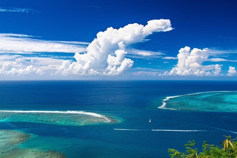 Tropical Paradise